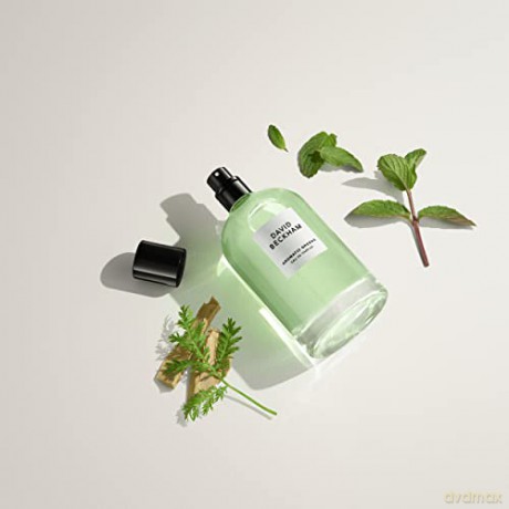 David Beckham Aromatic Greens - woda perfumowana - Volume: 100 ml