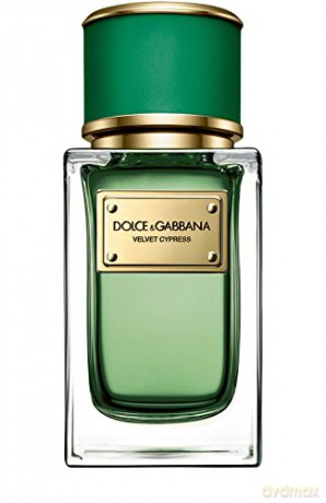 Dolce & Gabbana Velvet Cypress - woda perfumowana - Volume: 50 ml