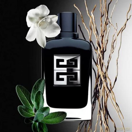 Givenchy Gentleman Society - woda perfumowana - Volume: 100 ml