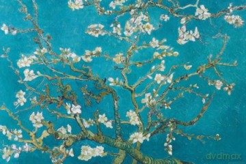Almond Blossom San Ramy 1890 [PLAKAT]