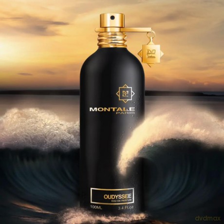 Montale Oudyssee - woda perfumowana - Volume: 100 ml