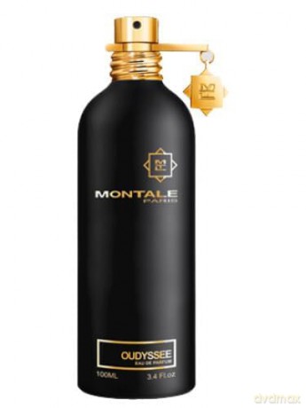 Montale Oudyssee - woda perfumowana - Volume: 100 ml