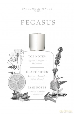 Parfums De Marly Pegasus - woda perfumowana - Volume: 125 ml