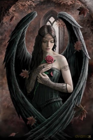 Angel Rose [PLAKAT]