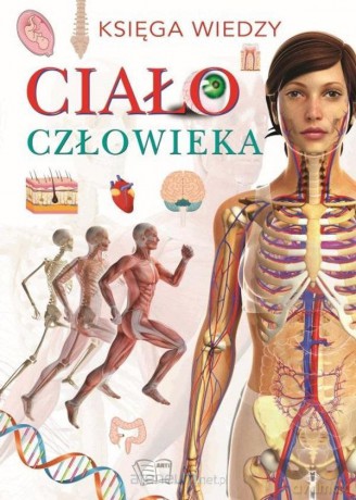 Księga wiedzy Ciało człowieka [KSIĄŻKA]