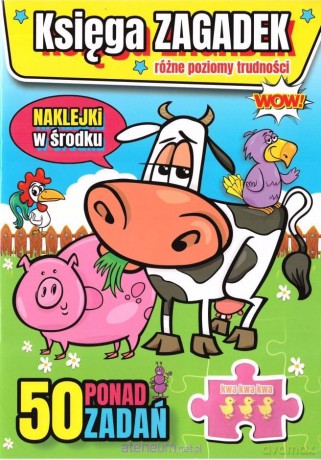 Księga zagadek [KSIĄŻKA]