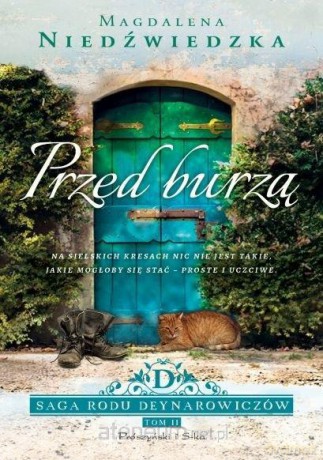 Przed burzą DL - Magdalena Niedźwiedzka [KSIĄŻKA]