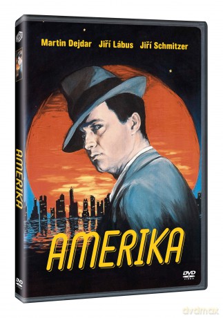 Amerika [DVD]