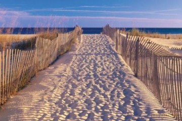 Beach Pathway [PLAKAT]