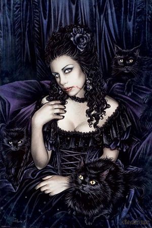Black Cat [PLAKAT]