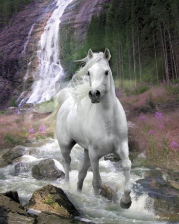 Bob Langrish Waterfall [PLAKAT]
