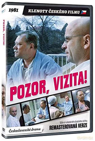 Pozor, vizita! [DVD]