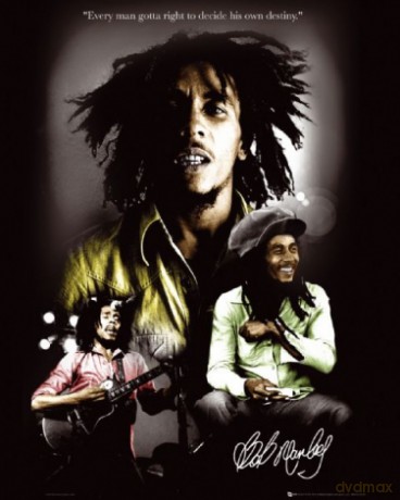 Bob Marley Destiny [PLAKAT]