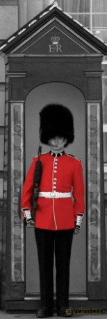 Buckingham Palace Guard (Londyn) [PLAKAT]