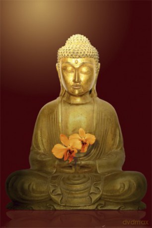 Budda Kwiat - Budda [PLAKAT]