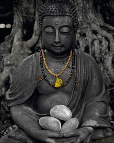 Budda Kamień [PLAKAT]