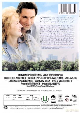 Falling in Love (Zakochać się) [DVD]