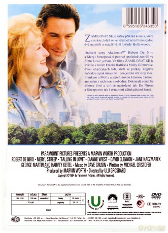 Falling in Love (Zakochać się) [DVD]
