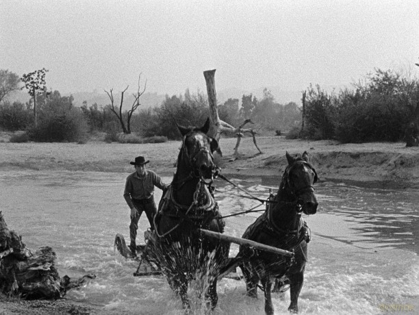 The Last Posse [Blu-Ray]