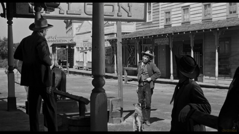 Man from Del Rio [Blu-Ray]