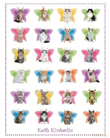 Cat - Kotki [PLAKAT]