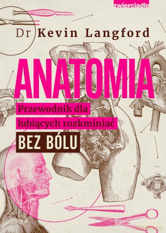 Anatomia. Przewodnik dla lubiących rozkminiać bez bólu - Kevin Langford [KSIĄŻKA]