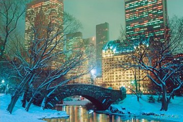 Central Park (śnieg) [PLAKAT]
