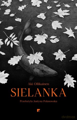 Sielanka - Aki Ollikainen [KSIĄŻKA]
