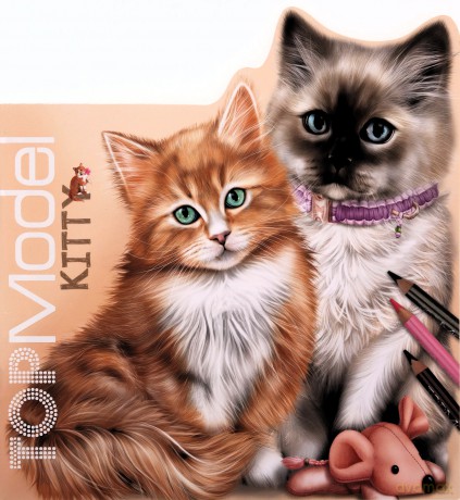 Szkicownik Kitty Top Model z naklejkami 12713A