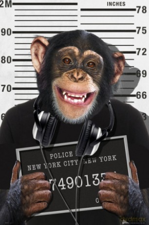 Chimp Mugshot [PLAKAT]