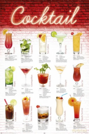 Cocktails - Polnisch [PLAKAT]