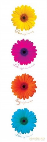 Dance, Love, Sing, Live [PLAKAT]