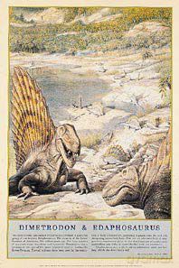 Dinozaury [PLAKAT]