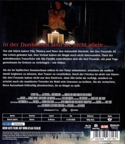 Dark Windows [Blu-Ray]