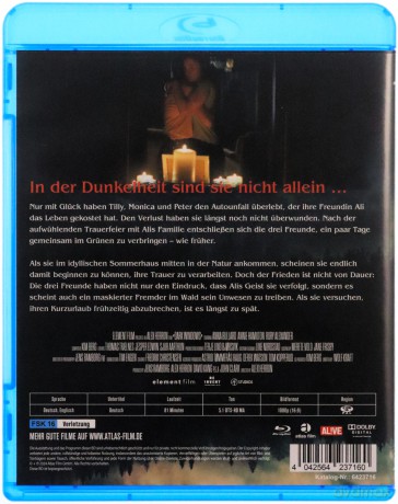 Dark Windows [Blu-Ray]