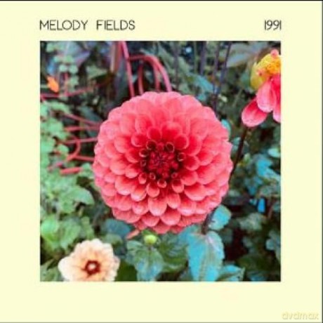 Melody Fields: 1991 [Winyl]