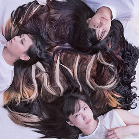 Tricot: A N D [Winyl]