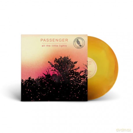 Passenger: All The Little Lights (Anniversary) [Winyl]