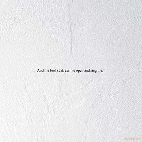 Prairie: And The Bird Said: Cut Me Open And Sing Me [Winyl]
