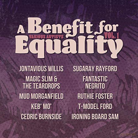 Benefit For Equality Vol. 1 [Winyl]