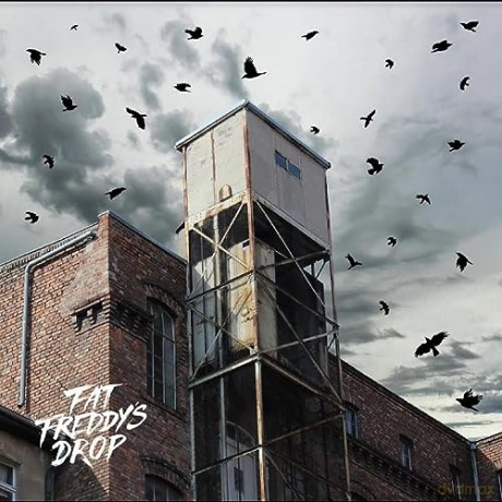 Fat Freddys Drop: Blackbird Returns [Winyl]