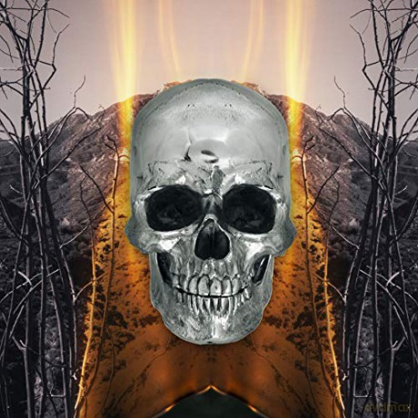 Neverly Boys: Dark Side Of Everything [CD]