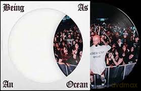 Being As An Ocean: Death Can Wait (Picture) [Winyl]
