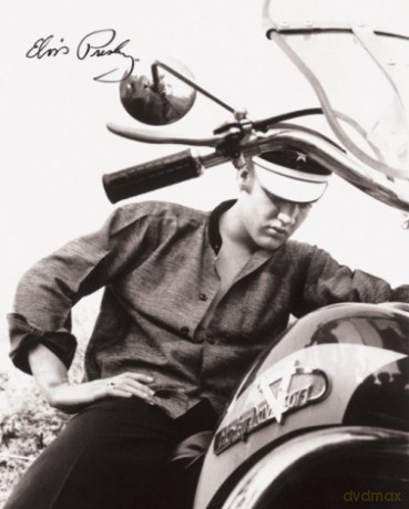 Elvis Presley (Harley) [PLAKAT]