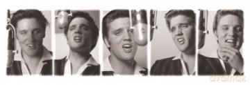 Elvis Presley (Love Me Tender) [PLAKAT]
