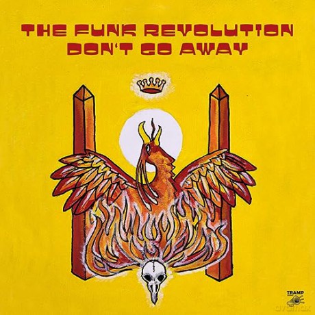 Funk Revolution: Dont Go Away [Winyl]