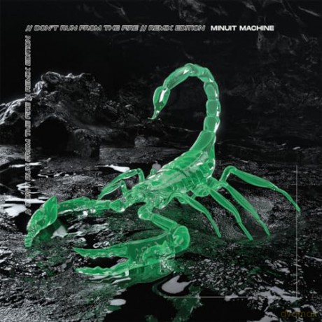 Minuit Machine: Dont Run From The Fire [Winyl]
