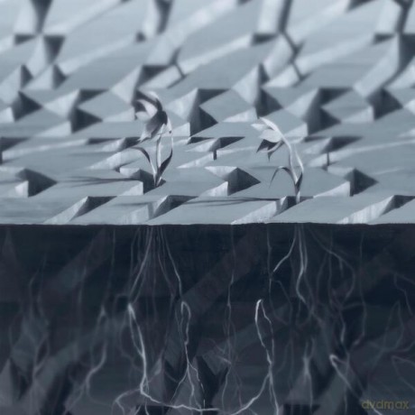 Victor Timofeev: Exocursion [Winyl]