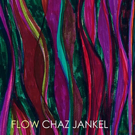Chaz Jankel: Flow [CD]