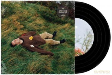 Jordan Rakei: Flowers [Winyl]